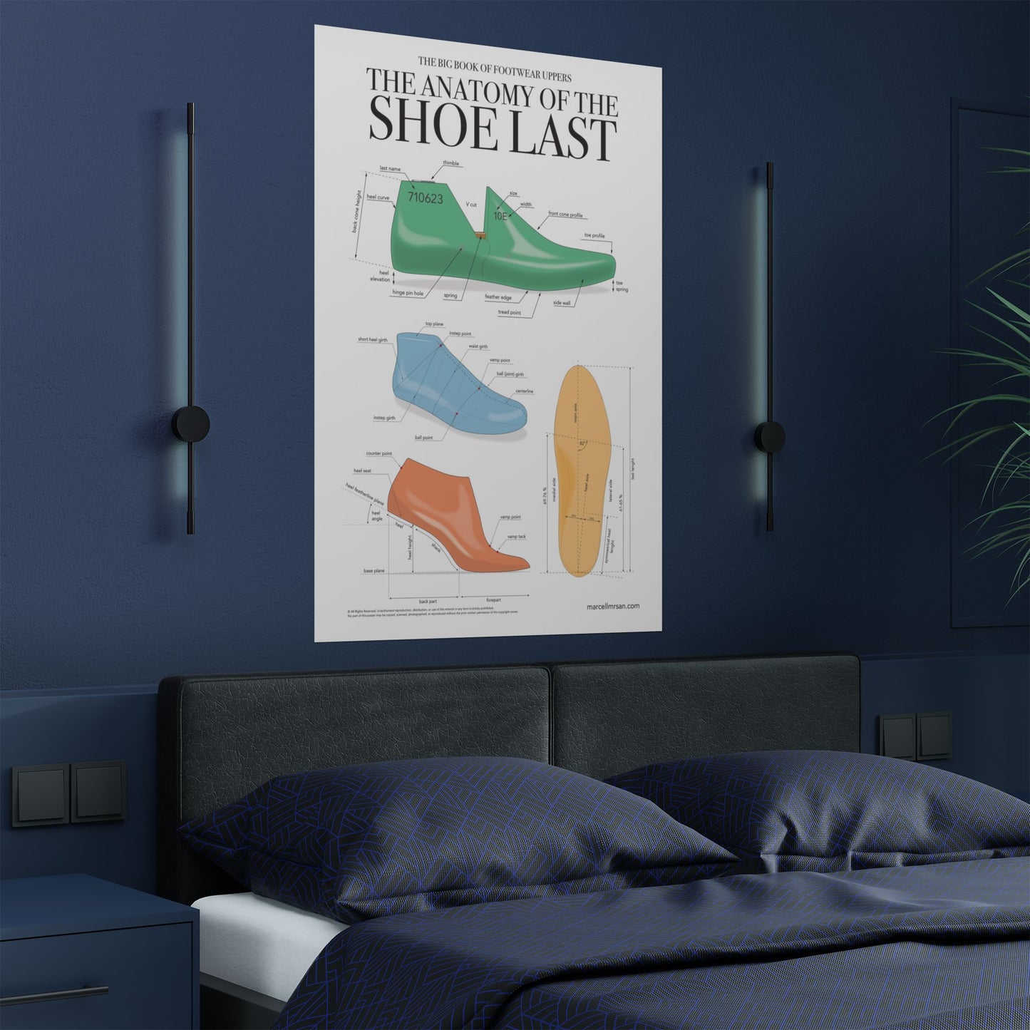 The Anatomy of the Shoe Last