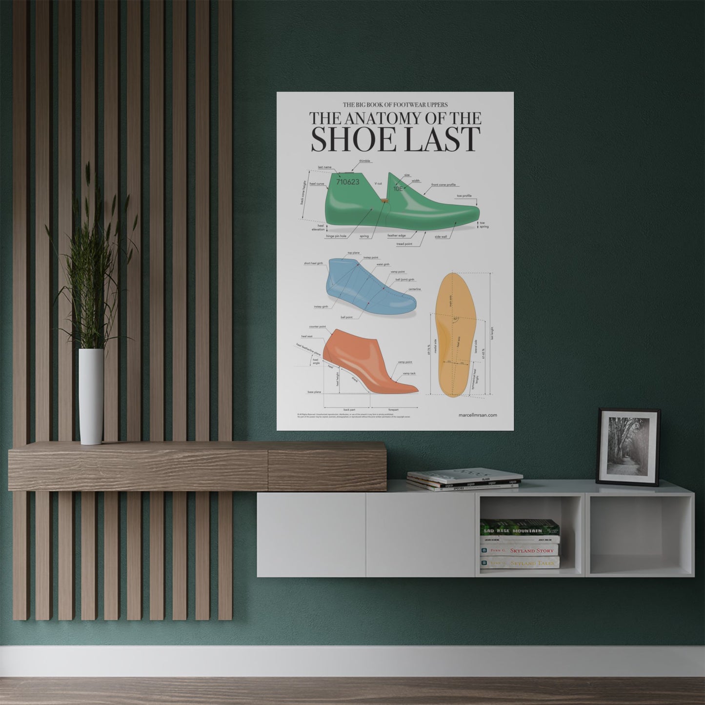 The Anatomy of the Shoe Last