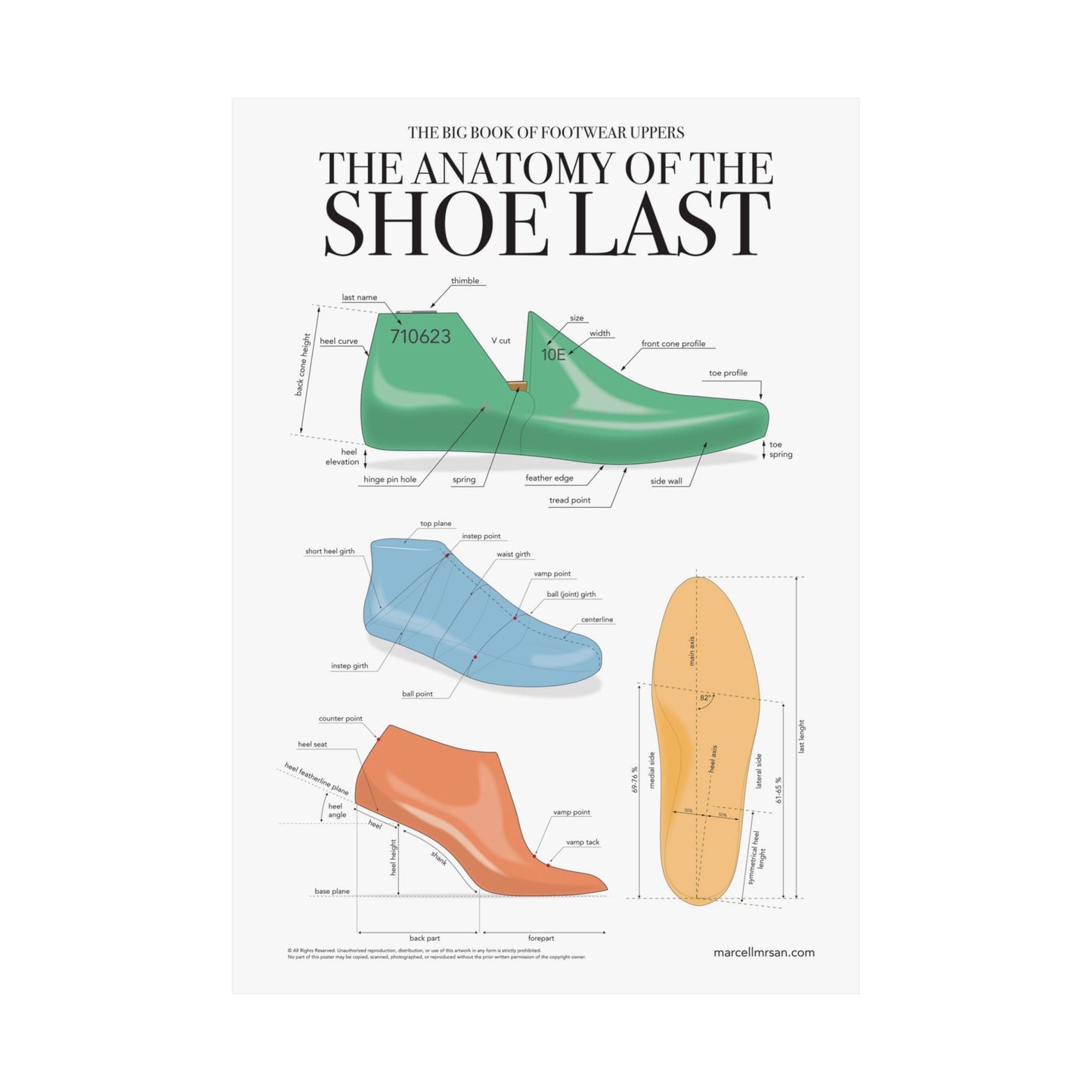 The Anatomy of the Shoe Last
