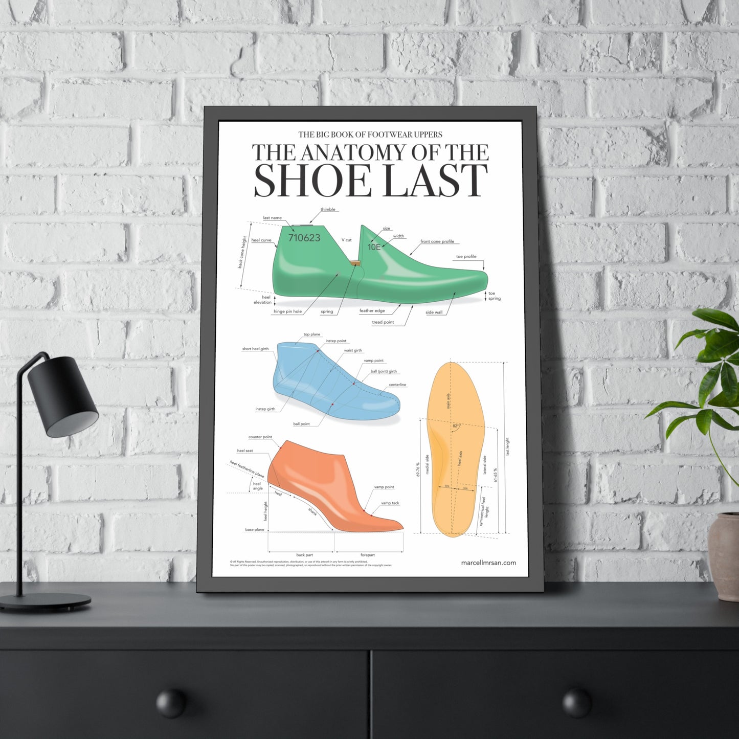 The Anatomy of the Shoe Last, Framed Poster
