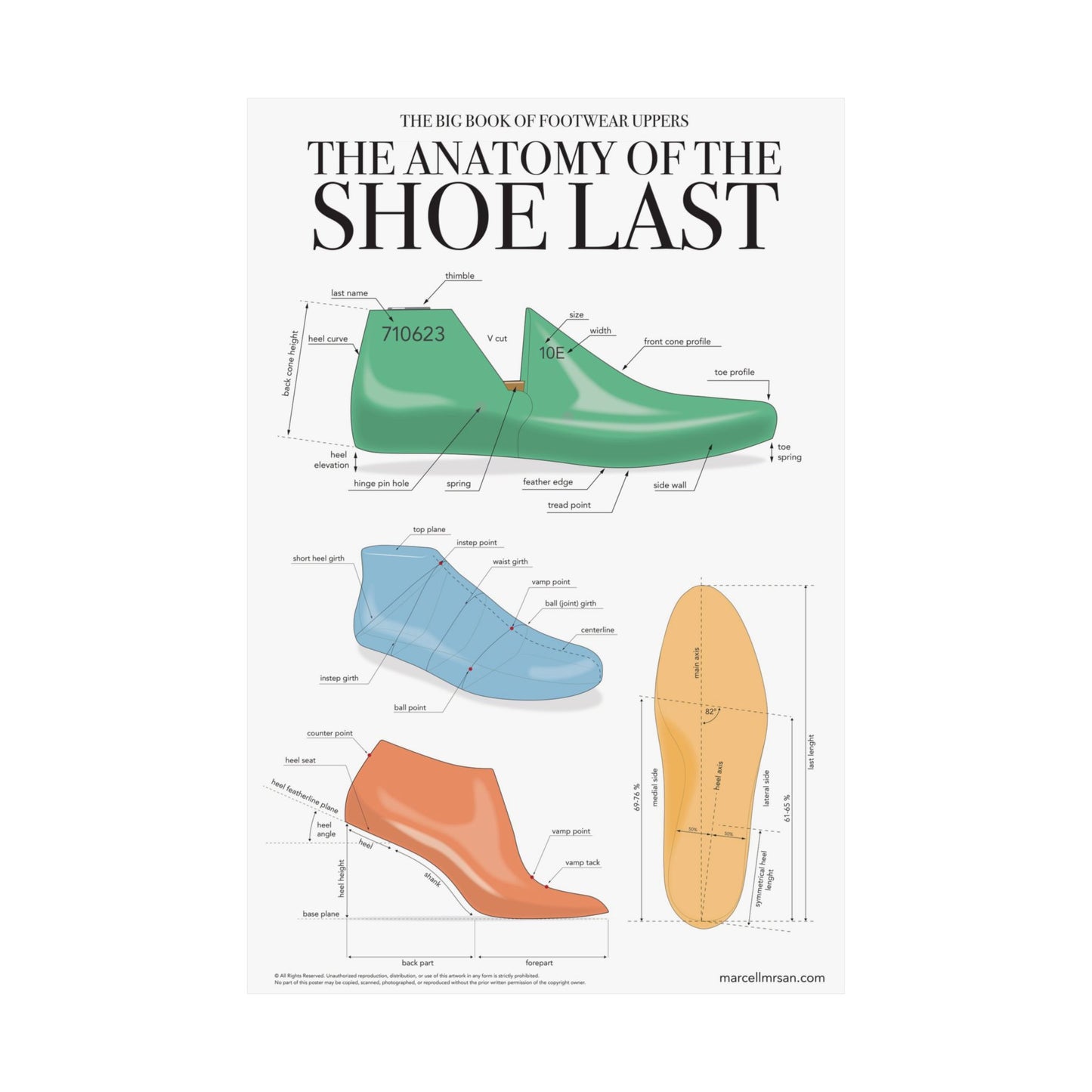 The Anatomy of the Shoe Last