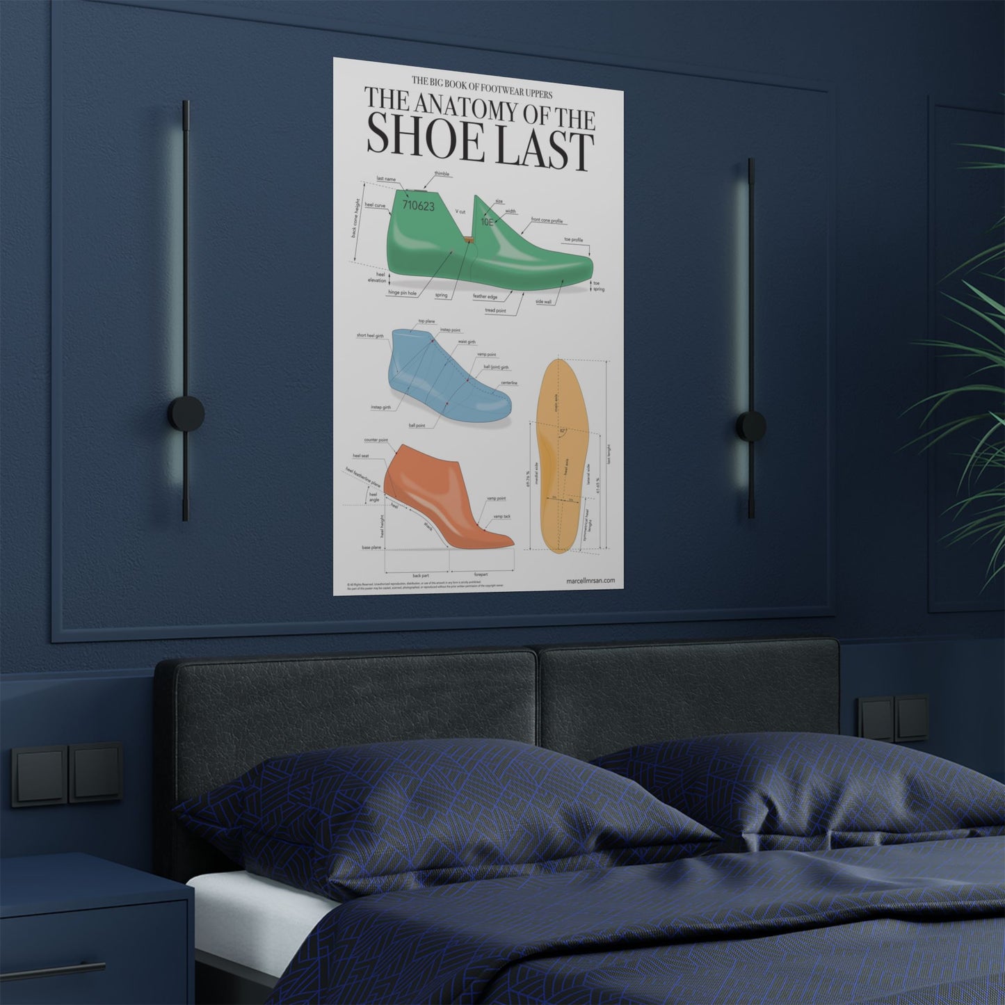 The Anatomy of the Shoe Last